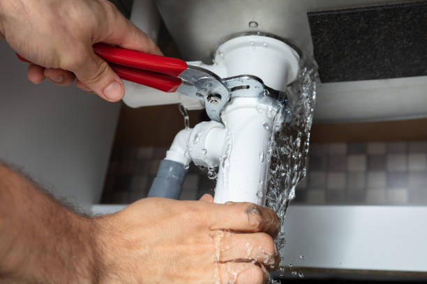 Best Water damage mitigation services  in Versailles, KY