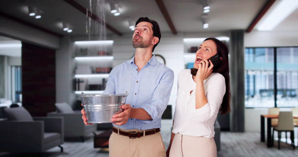 Best Water damage cleanup near me  in Versailles, KY